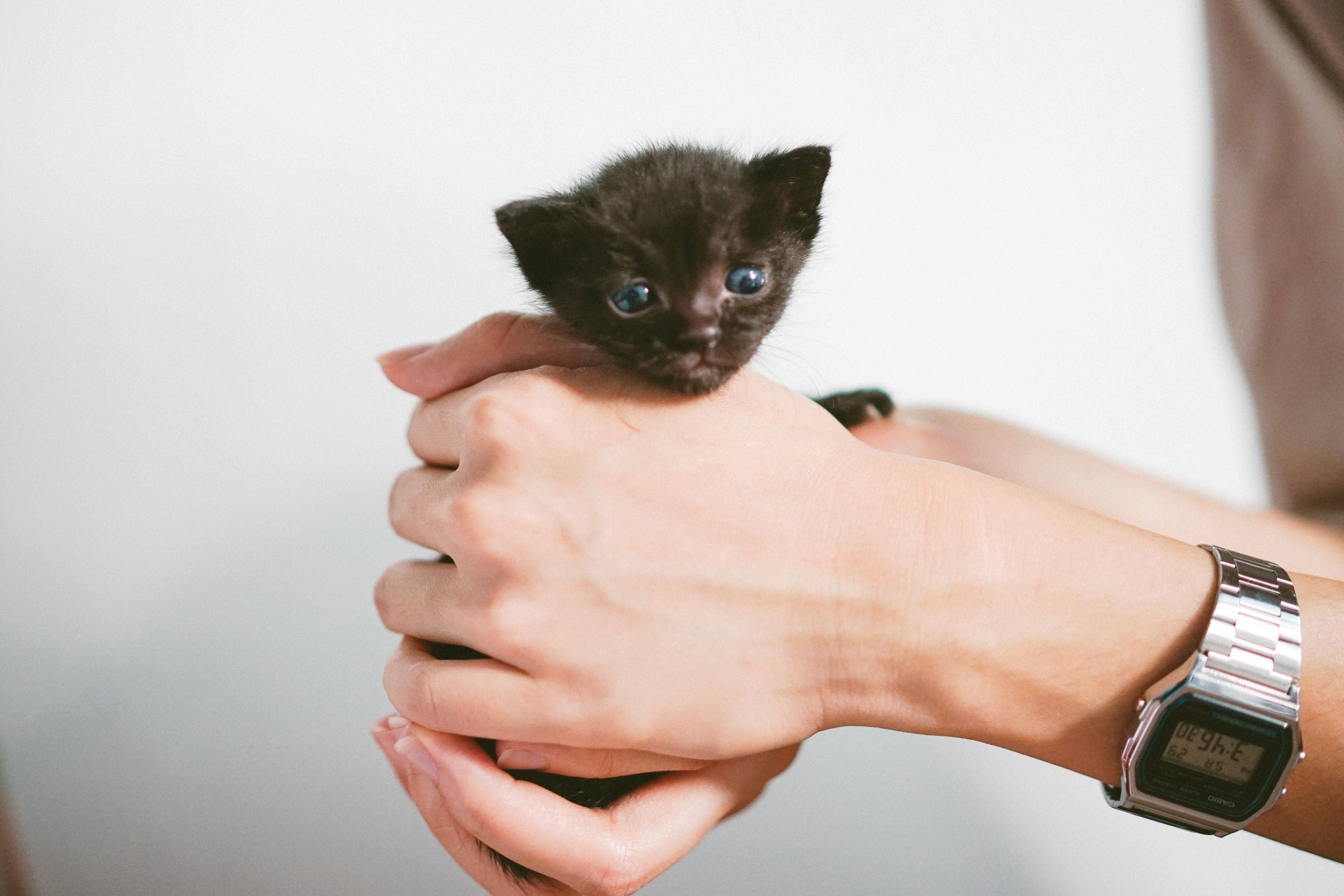 Photo by Manki Kim on Unsplash